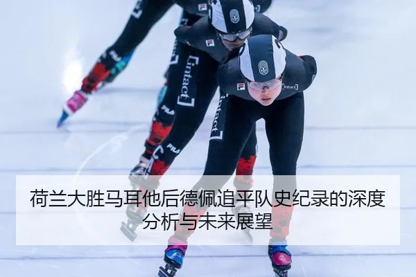 he-lan-da-sheng-ma-er-ta-hou-de-pei-zhui-ping-dui-shi-ji-lu-de-shen-du-fen-xi-yu-wei-lai-zhan-wang-2-619.jpg